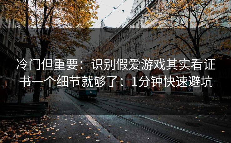 冷门但重要：识别假爱游戏其实看证书一个细节就够了：1分钟快速避坑